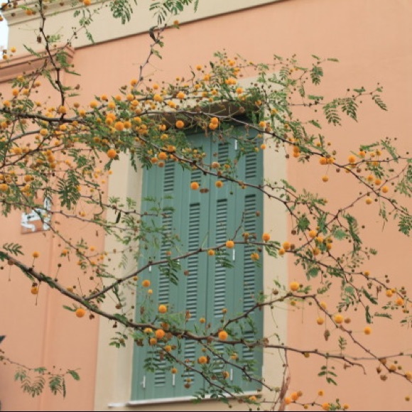 💸 - Picture 1 of 1